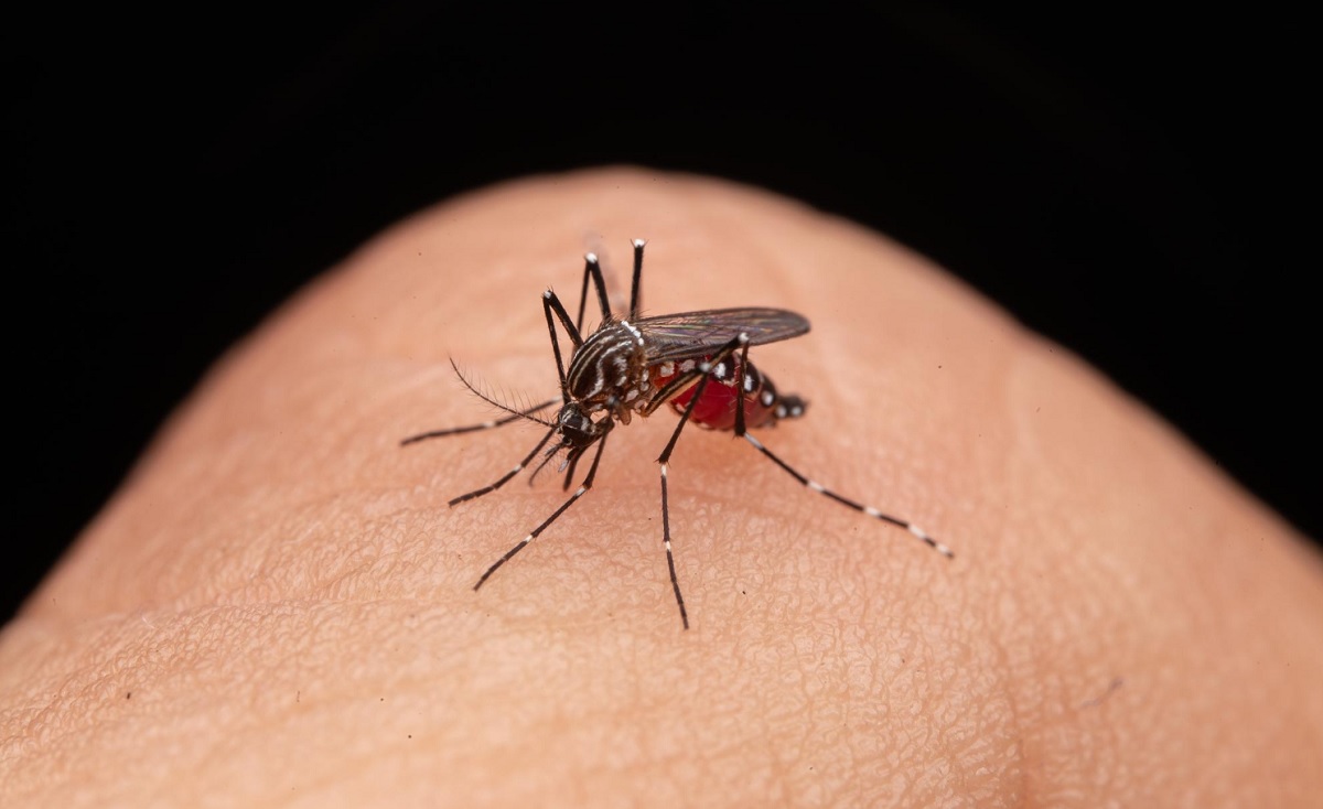 Lyme disease test kits